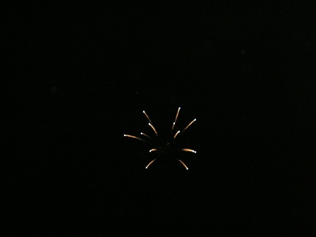 Grafton Pond fireworks